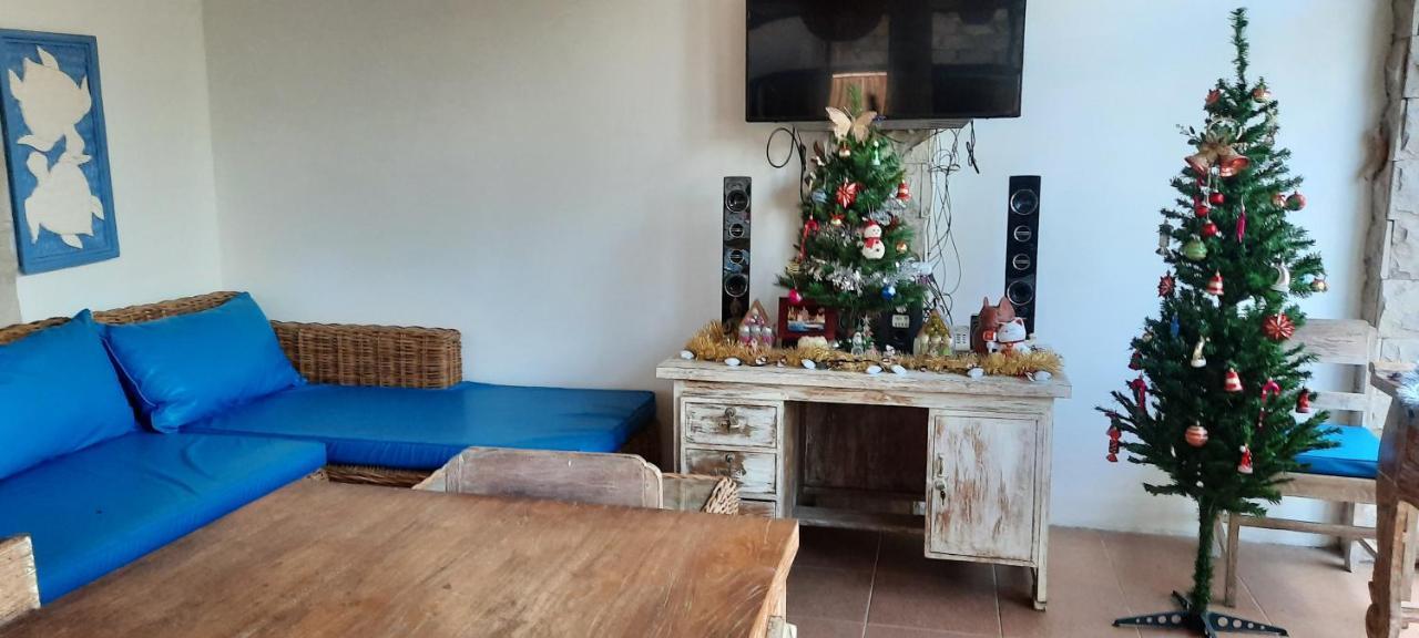Turtle Island Homestay Санур Екстер'єр фото