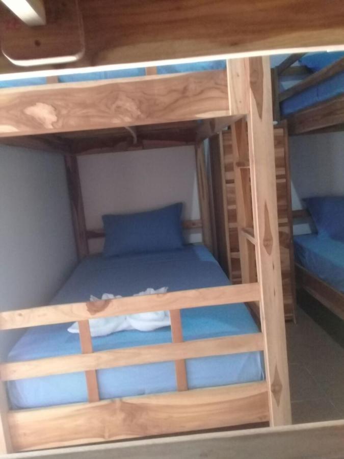 Turtle Island Homestay Санур Екстер'єр фото