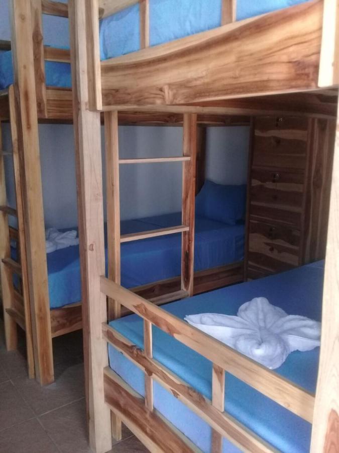 Turtle Island Homestay Санур Екстер'єр фото